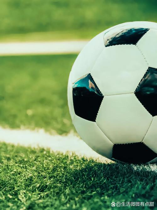 足球数据分析界面展示