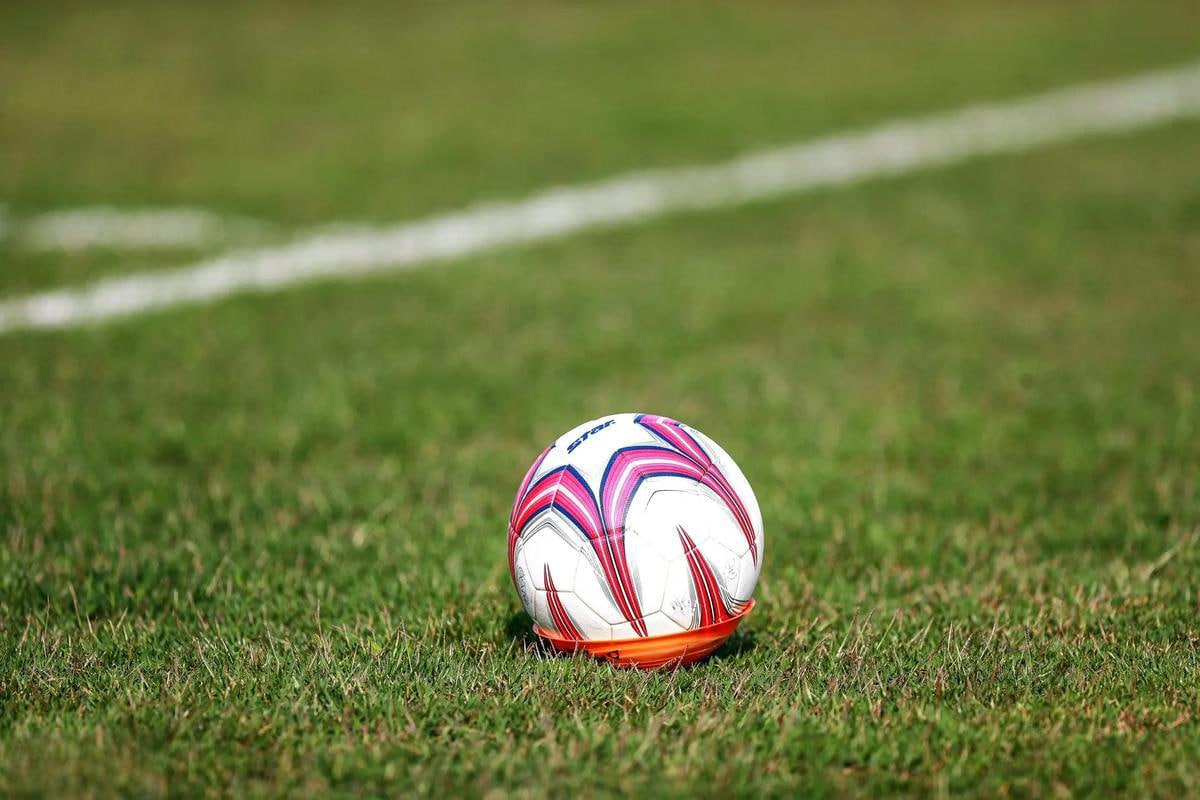 软件使用流程示意图